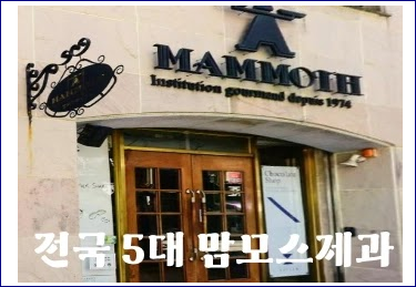 안동 맘모스제과 