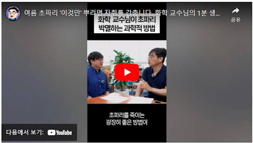 붕사 초파리 없애는법