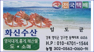 영덕 강구항 대게 싸게 파는곳 도매상 