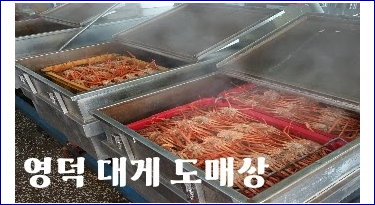 영덕 대게 도매상