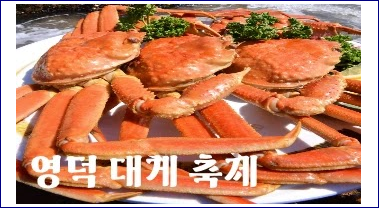 영덕 강구항 대게