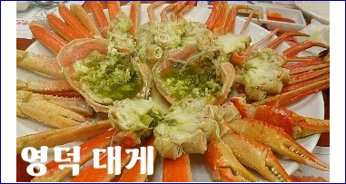 영덕 대게 홍게 