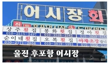 울진 후포항 대게