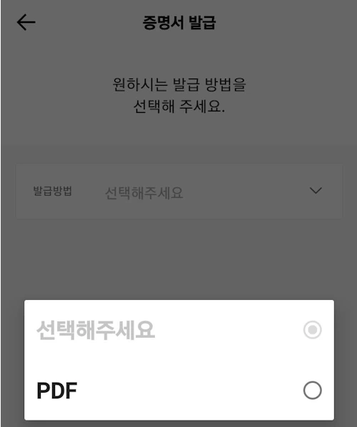 카카오뱅크 통장사본 PDF 발급